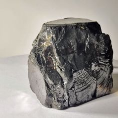 Exklusiver Edel-Schungit Stein 230 g