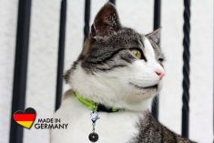 Schungit-Anhänger "Cat & Dog"