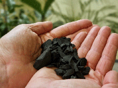 Echantillon gratuit Pierres brutes Classic Schungite Pour l'eau énergisante