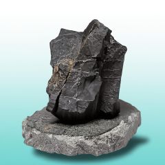 Exclusive shungite on a talc chlorite plate