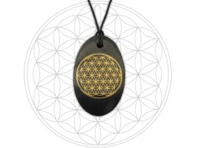 Schungit-Anhänger "Blume des Lebens", goldfarben