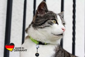 Schungit-Anhänger "Cat & Dog"
