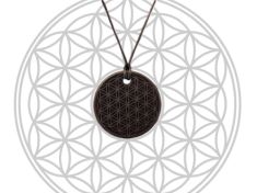 Schungit Anhänger "Blume des Lebens" B-Ware