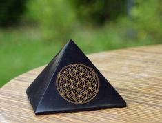Schungit-Pyramide "Blume des Lebens", goldfarben, poliert, 100 x 100 mm (B-Ware)