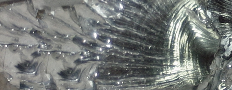 Carbon in shungite