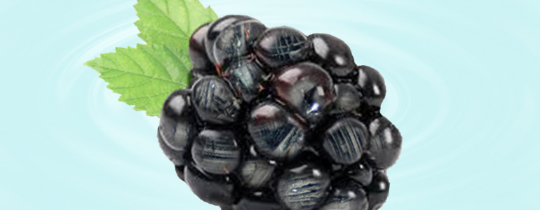 Shungite Trust